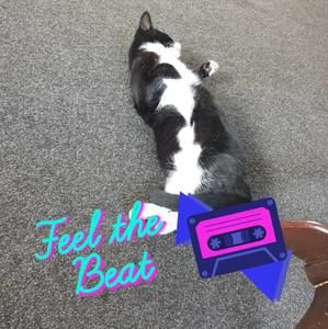 Meet your Posher, Peter